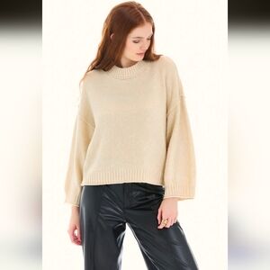 City Blues Cropped Long Sleeve Sweater- L
